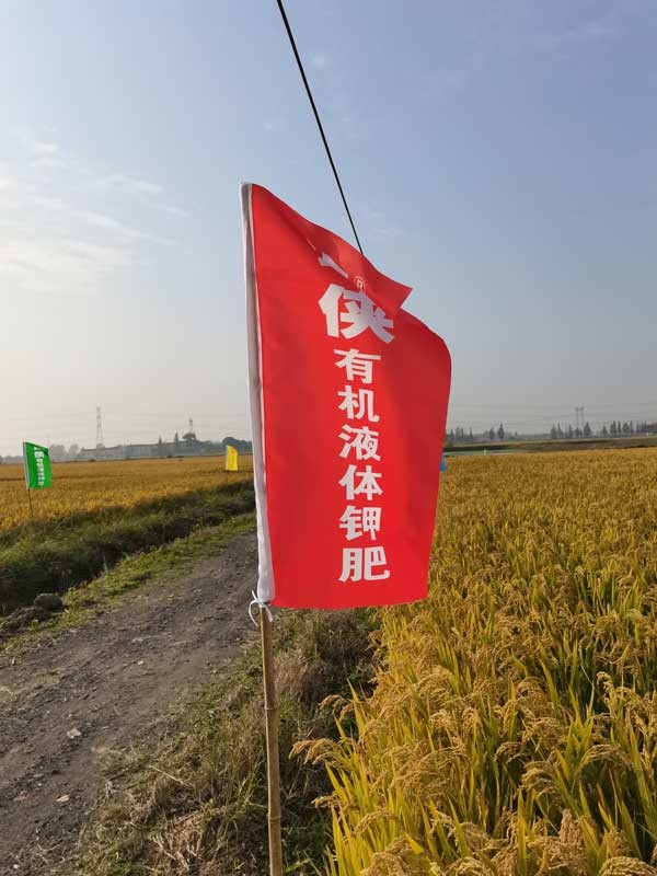 朴欣应用效果