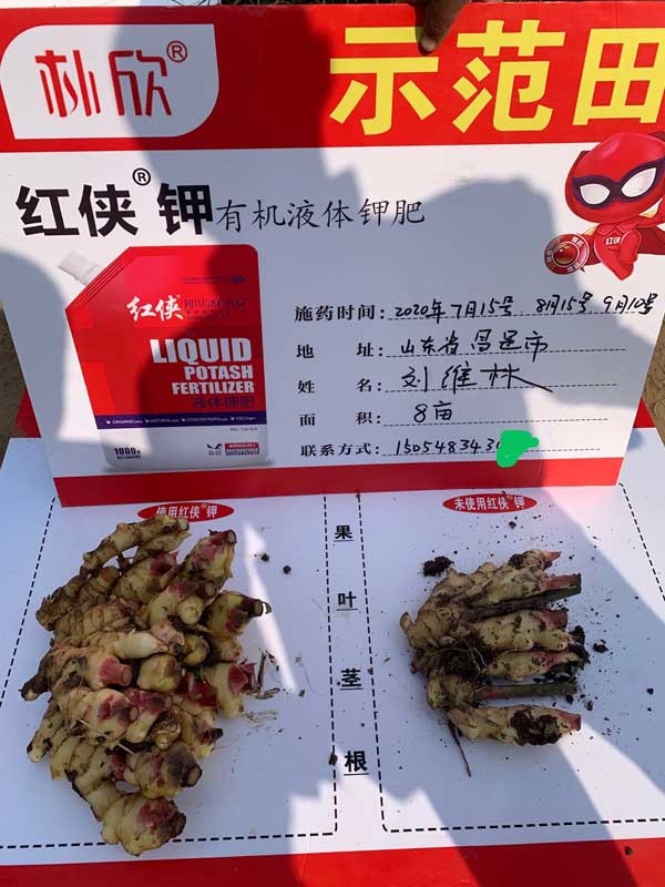 朴欣应用效果