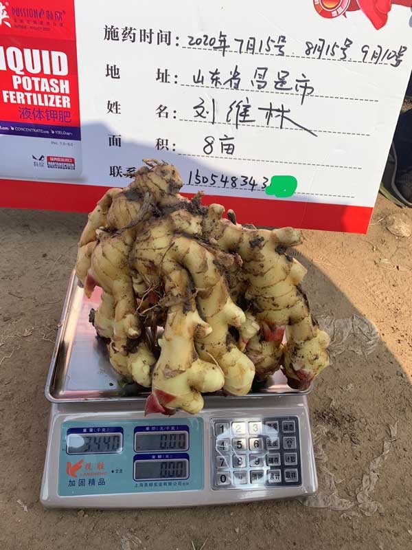 朴欣应用效果