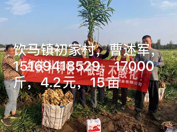 朴欣应用效果