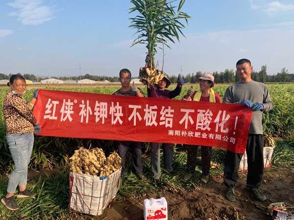 朴欣应用效果