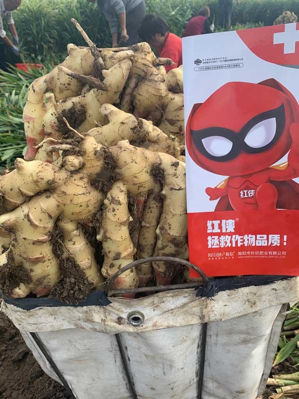 朴欣应用效果