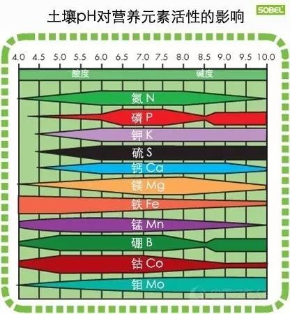 土壤酸碱度失衡有多可怕！你知道吗？