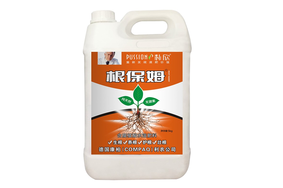 根保姆